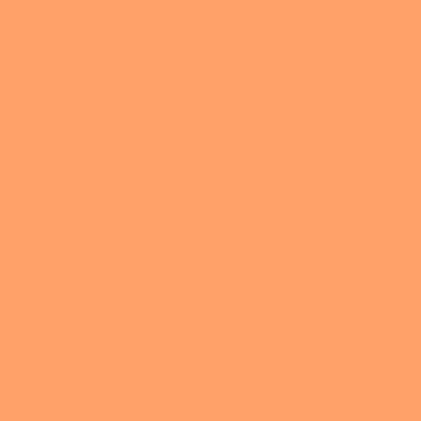 DE Nectarine DE5166 paint color swatch — hex #FFA168
