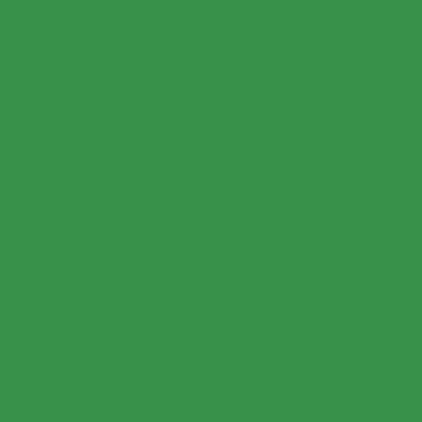 DE Wild Forest DEA127 paint color swatch — hex #38914A