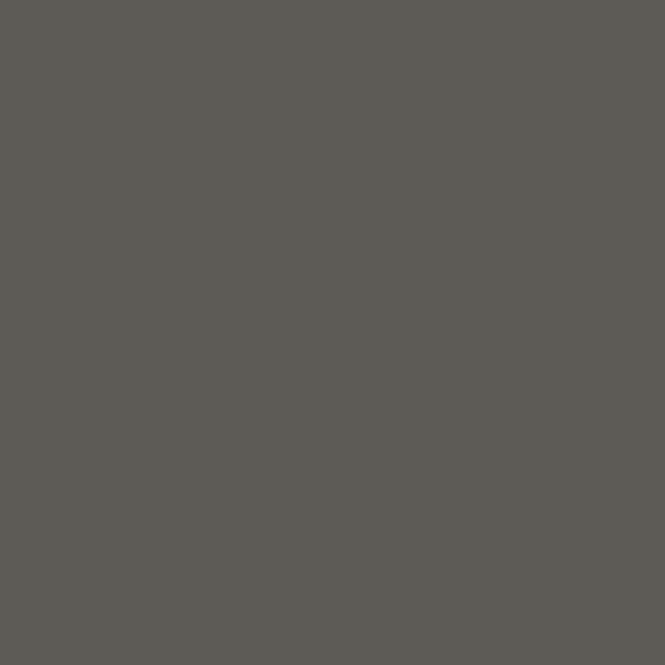 DE Charcoal Sketch DET628 paint color swatch — hex #5D5B56