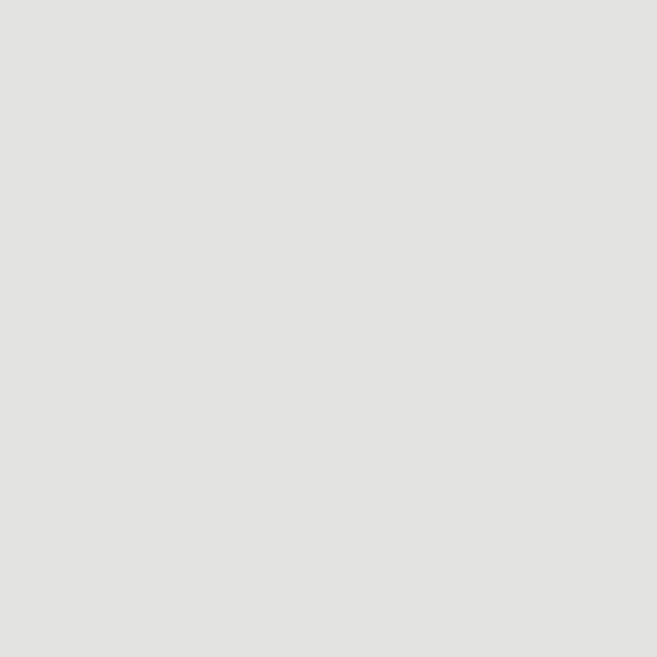 Glidden Aria PPG1001-2 paint color swatch — hex #E3E4E2