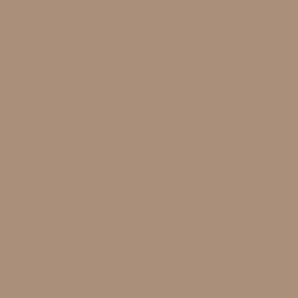 Glidden Cocoloco PPG1079-5 paint color swatch — hex #AA8F7A