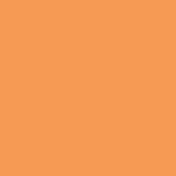 Glidden Fall Leaf PPG1197-6 paint color swatch — hex #F69A54