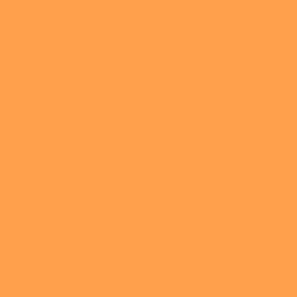 Hempel Hempel 21330 21330 paint color swatch — hex #FFA04C