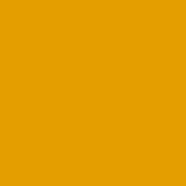 Hempel Hempel 27040 27040 paint color swatch — hex #E49E00