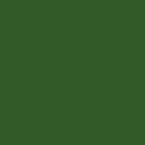Hempel Hempel 47020 47020 paint color swatch — hex #325928