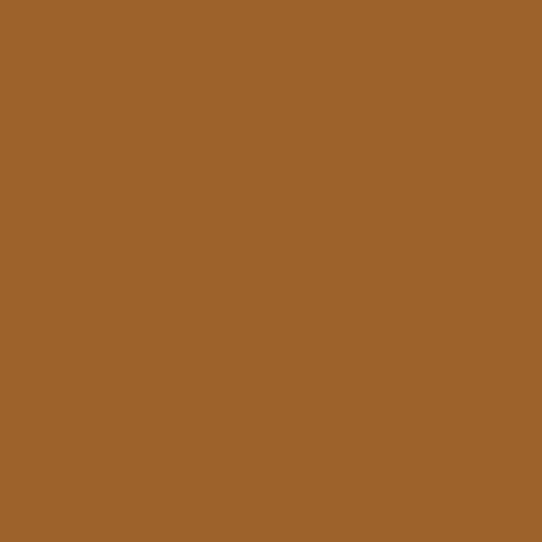 Hempel Hempel 67010 67010 paint color swatch — hex #9D622B