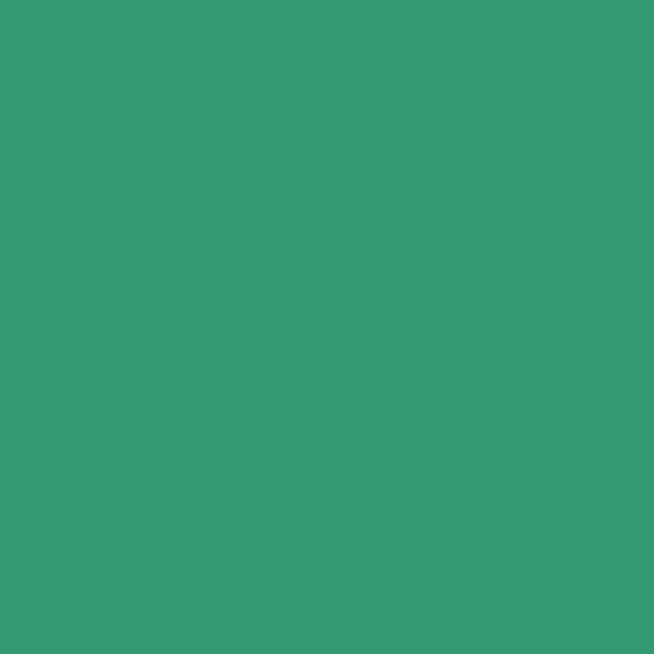 Jotun BOLD GREEN 6399 paint color swatch — hex #349A73