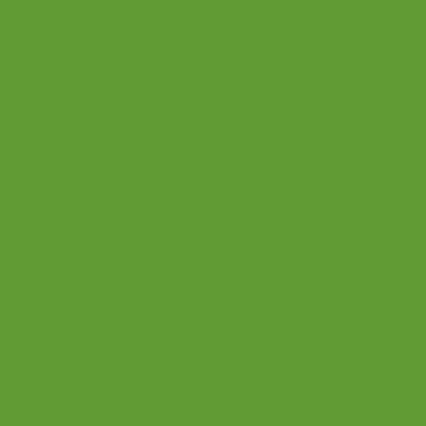 KM A Tahitian Palm 58 paint color swatch — hex #619B33