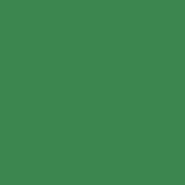 KM A Glenbrook 63 paint color swatch — hex #3C864F