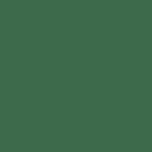 KM Greenback AC246-5 paint color swatch — hex #3C6A4A