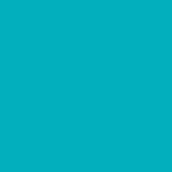 KM Future KM5042-3 paint color swatch — hex #02AFBD