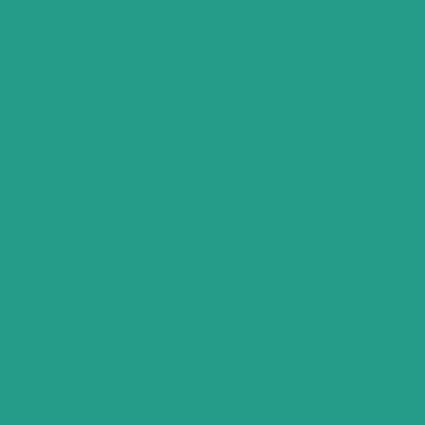 KM Flamboyant KM5064-3 paint color swatch — hex #249C8A
