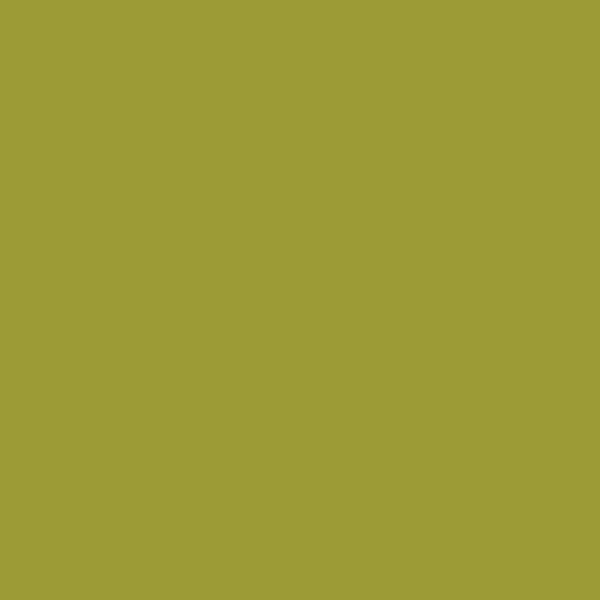 KM Apple Green KM5149-5 paint color swatch — hex #9C9B36