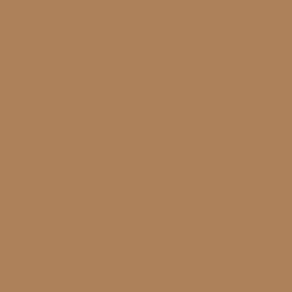 Nerolac Pale Sable 2758 paint color swatch — hex #AD815A