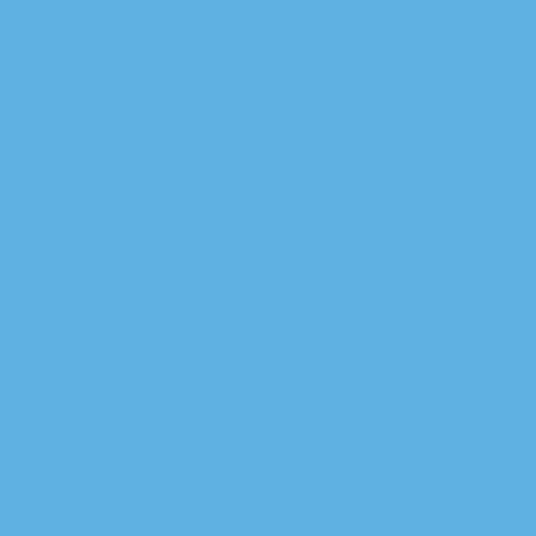 Nerolac Deep Turquoise 4310 paint color swatch — hex #5FB1E2