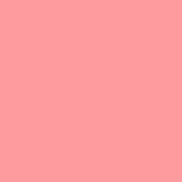 Nerolac Pink Link 4790 paint color swatch — hex #FD9B9E