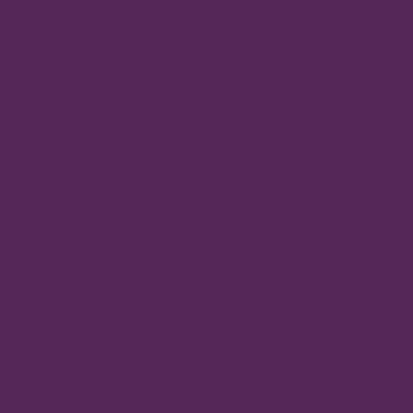 Nippon Grape Freeze NP AC 2089A paint color swatch — hex #552657
