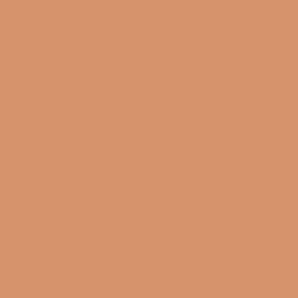 Nippon PERUVIAIN TIME NP PRO 0333 paint color swatch — hex #D6936C