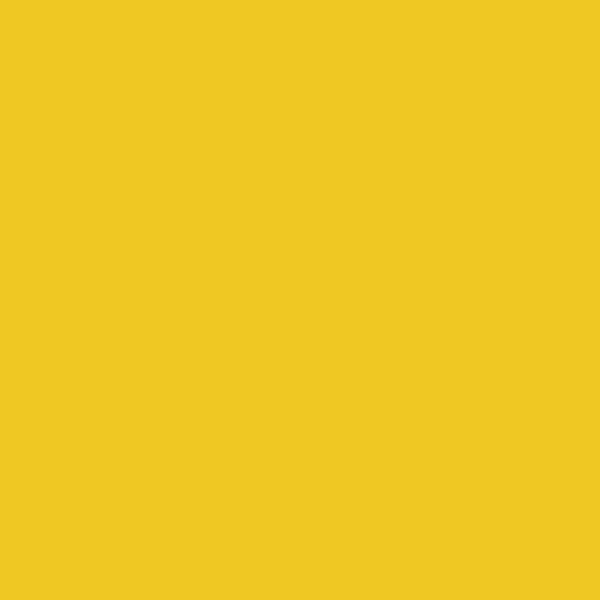 Nippon Yellow Mint NP YO 1106A paint color swatch — hex #EDC921