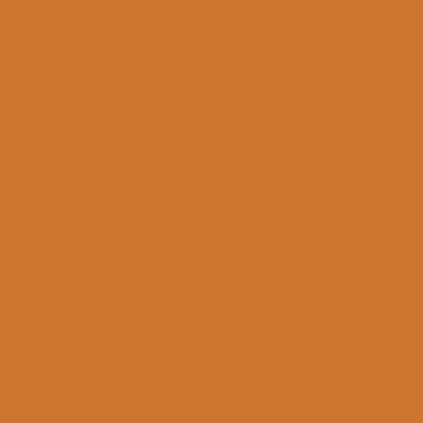 Nippon Dragon Ball NP YO 2458A paint color swatch — hex #CF7532
