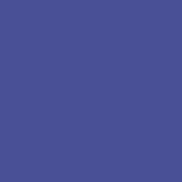 Plascon Big Blue Star P1-A1-1 paint color swatch — hex #475193