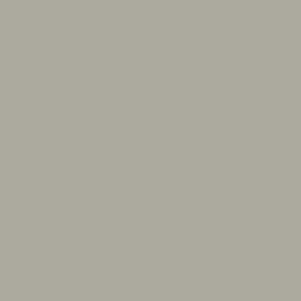 Plascon Castle Stone Y5-E2-2 paint color swatch — hex #ACA99E