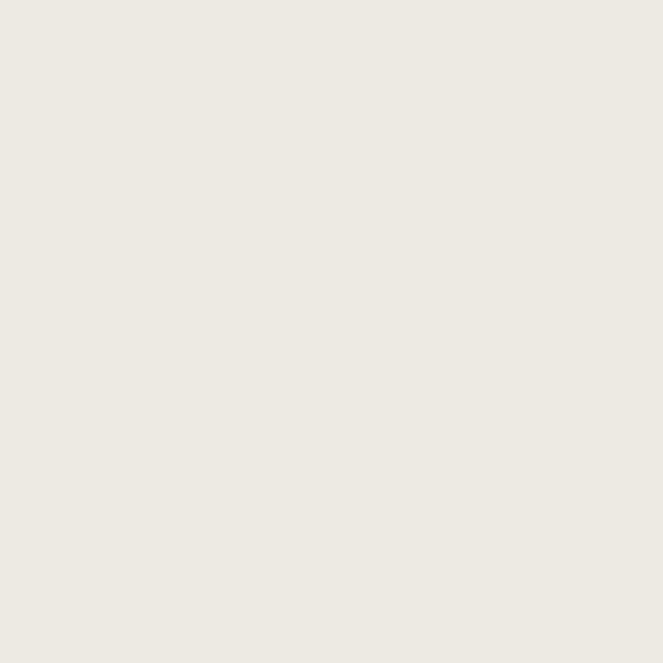 Plascon Light Reflection Y6-A2-3 paint color swatch — hex #ECEAE2
