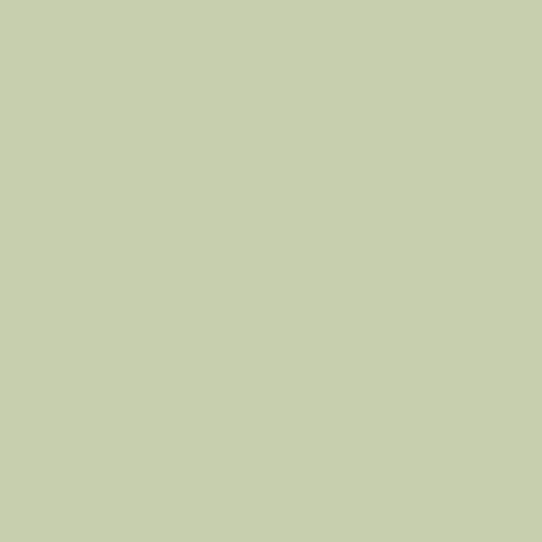 Plascon Lily Pad Home Y7-B2-1 paint color swatch — hex #C7CFAE