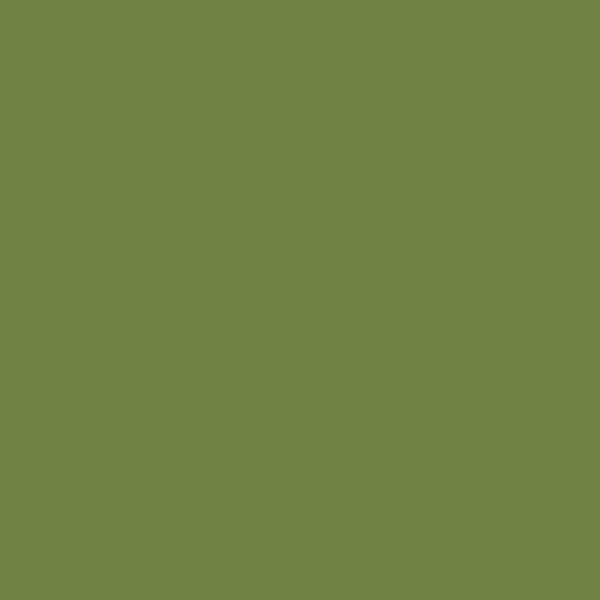 Plascon Crack Willow Y7-C1-1 paint color swatch — hex #718245