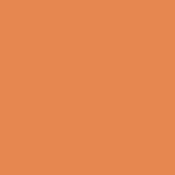 PPG Orange Poppy 1196-7 paint color swatch — hex #E68750