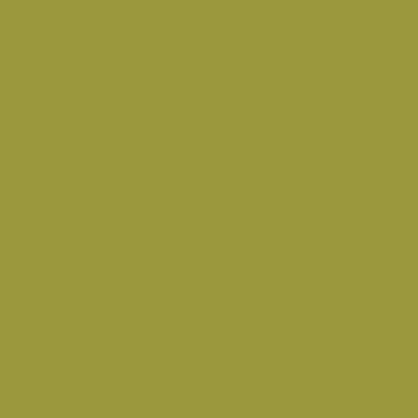 PPG Be Yourself 1218-7 paint color swatch — hex #9B983D