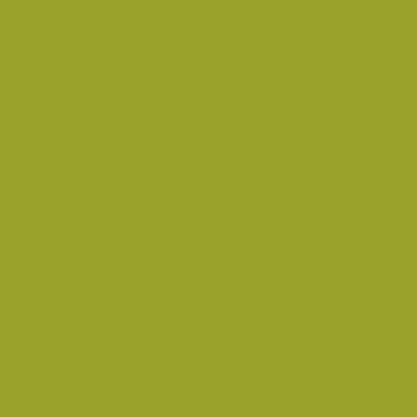 PPG Lichen 1219-7 paint color swatch — hex #9AA22B