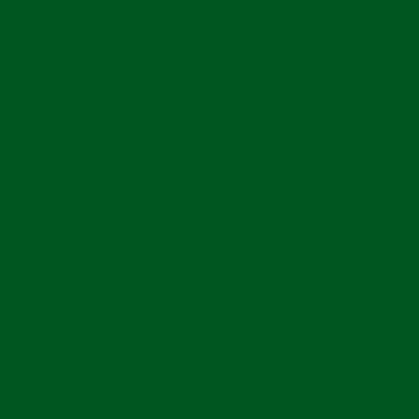 P&L Frond of Green 19-16 paint color swatch — hex #005620