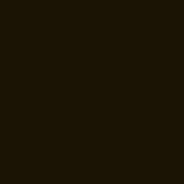 Resene Acadia Acadia paint color swatch — hex #1B1404