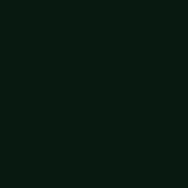 Resene Black Bean BlackBean paint color swatch — hex #081910