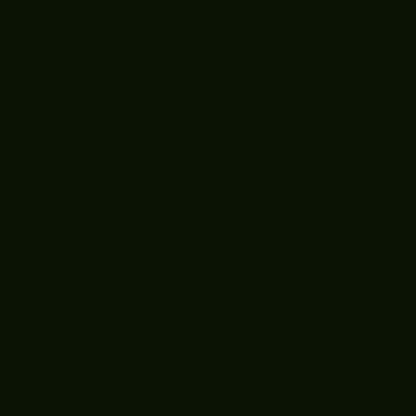 Resene Black Forest BlackForest paint color swatch — hex #0B1304