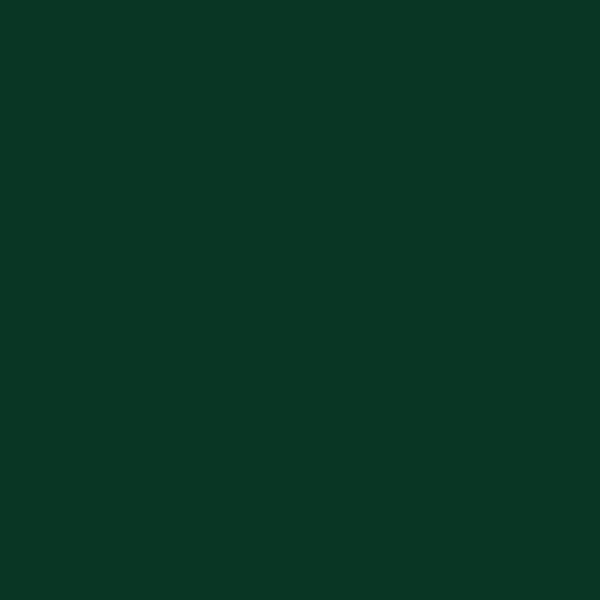 Resene Bottle Green BottleGreen paint color swatch — hex #093624