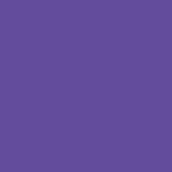 Resene Butterfly Bush ButterflyBush paint color swatch — hex #624E9A