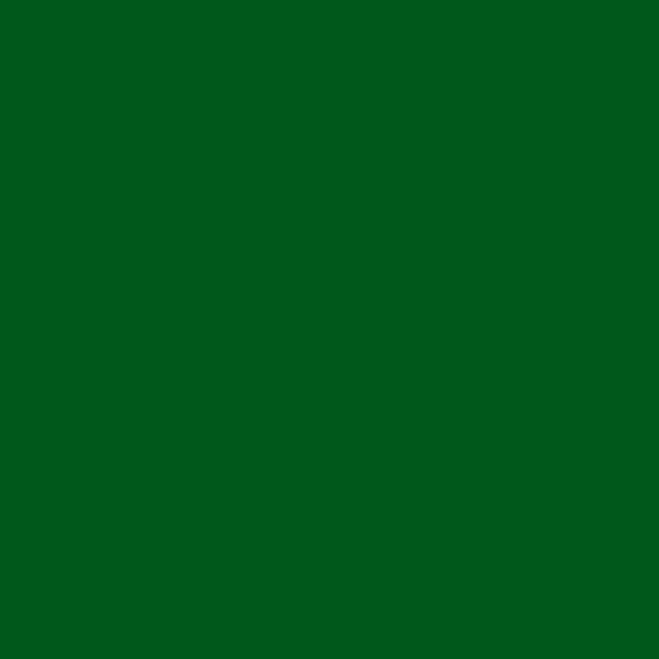 Resene Camarone Camarone paint color swatch — hex #00581A