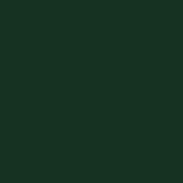 Resene Celtic Celtic paint color swatch — hex #163222