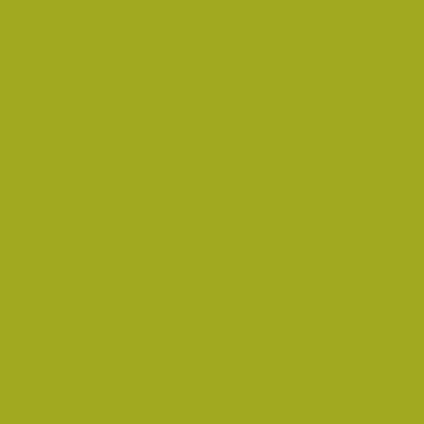 Resene Citron Citron paint color swatch — hex #9EA91F