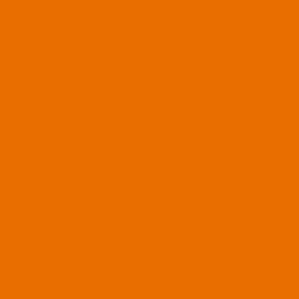 Resene Clementine Clementine paint color swatch — hex #E96E00