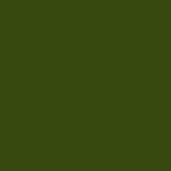 Resene Clover Clover paint color swatch — hex #384910
