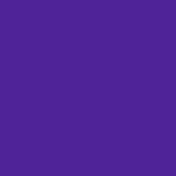 Resene Daisy Bush DaisyBush paint color swatch — hex #4F2398