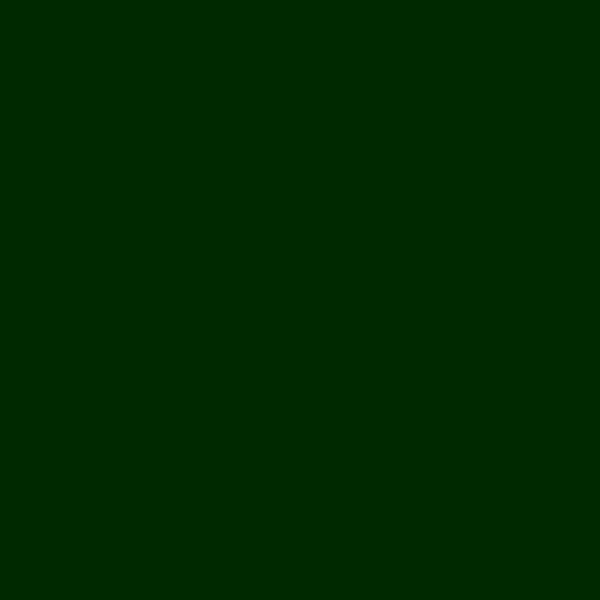 Resene Deep Fir DeepFir paint color swatch — hex #002900