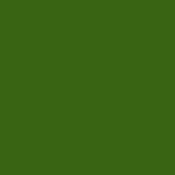 Resene Dell Dell paint color swatch — hex #396413