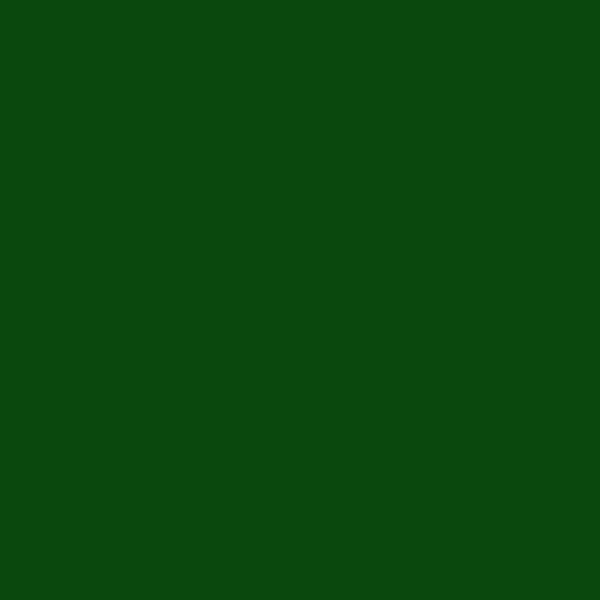 Resene Fern Fern paint color swatch — hex #0A480D