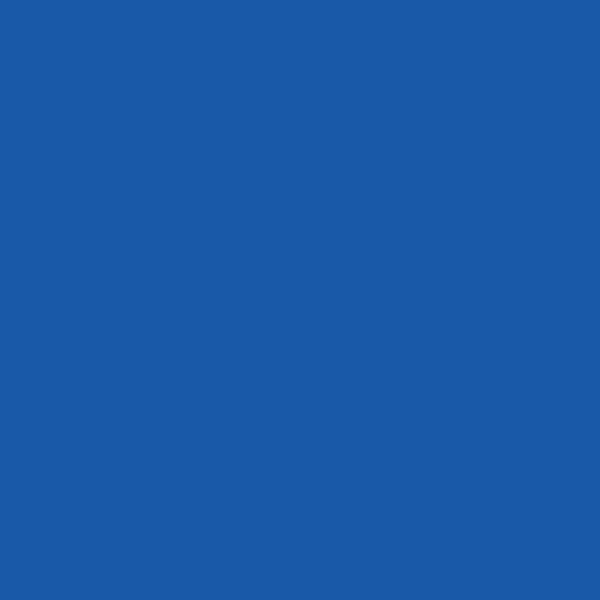 Resene Fun Blue FunBlue paint color swatch — hex #1959A8