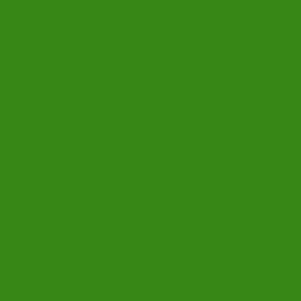 Resene La Palma LaPalma paint color swatch — hex #368716
