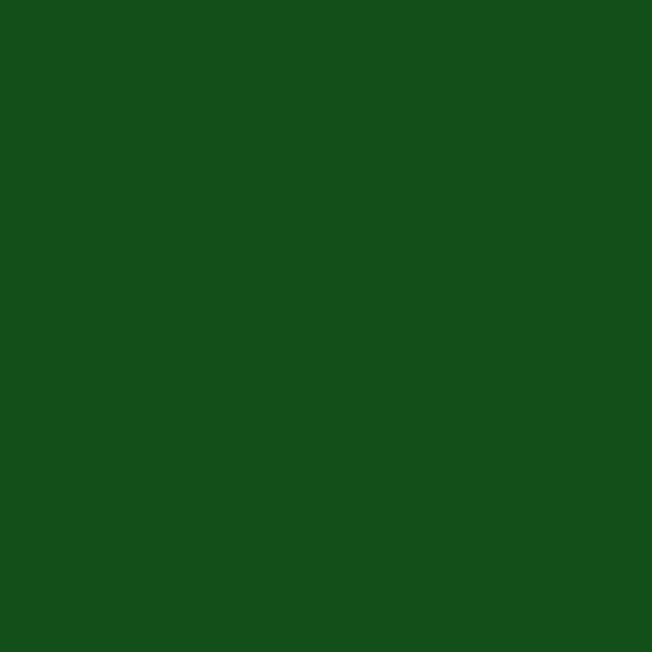 Resene Parsley Parsley paint color swatch — hex #134F19